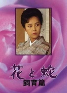 特黄少妇60分钟在线观看播放